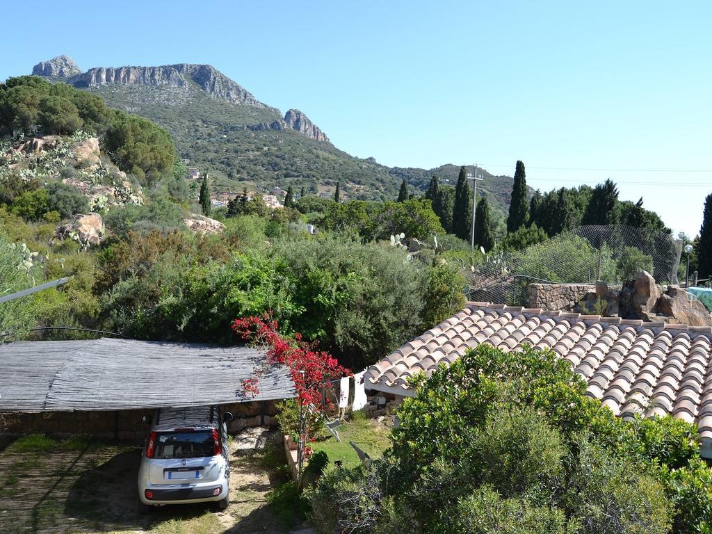 Villa Juniper Santa Maria Navarrese Rum bild