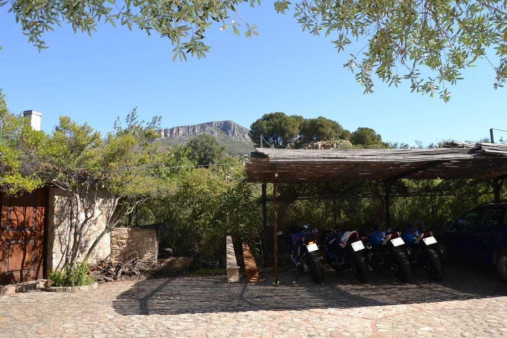 Villa Juniper Santa Maria Navarrese Rum bild